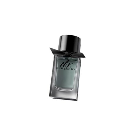 Mr. Burberry Eau de Toilette 100ml